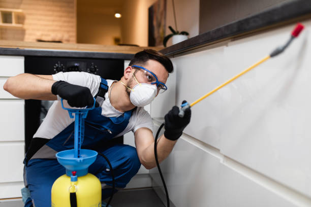 Best Cockroach Control Services  in Fort Dix, NJ