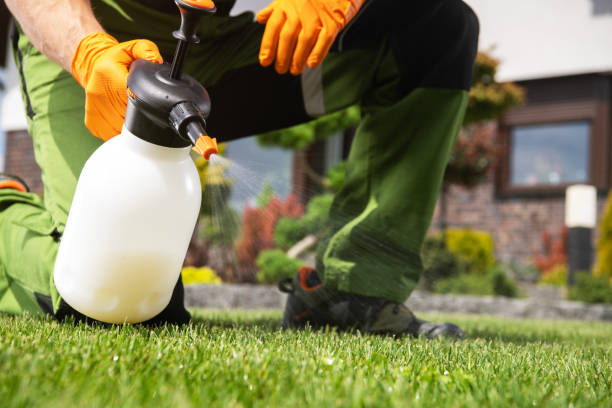 Best Mosquito Control Services  in Fort Dix, NJ