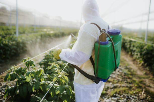 Best Exterminator Services  in Fort Dix, NJ